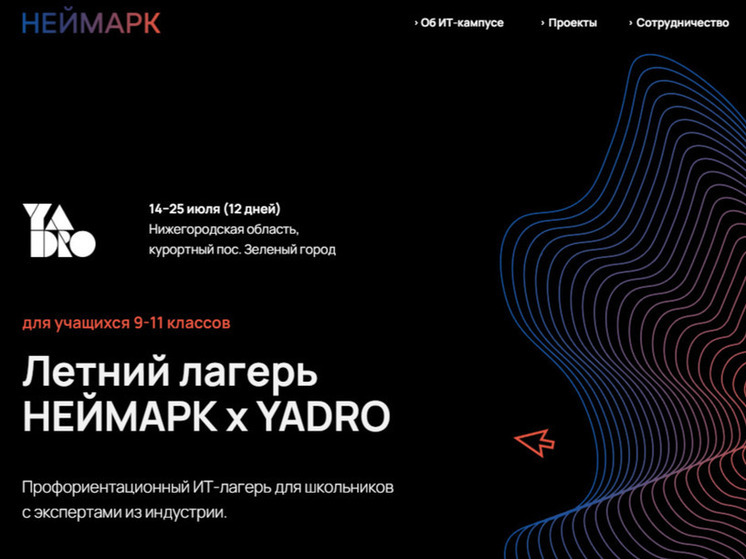 Для нижегородских школьников будет работать IT-лагерь