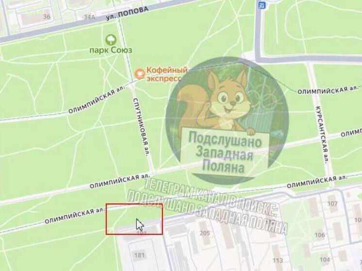 На Олимпийской аллее в Пензе замечен обнажённый мужчина