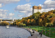 Содержание микропластика в воде Москвы-реки определили с помощью оригинального метода ученые Института геохимии и аналитической химии им