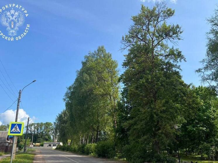 Пешеходный переход в Тверской области оборудование только по требованию прокурора
