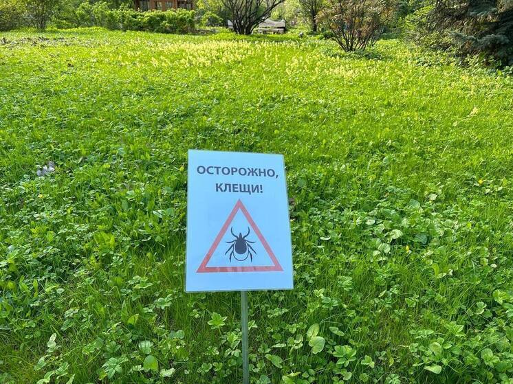 В Пензенской области от укусов клещей пострадали более 850 человек
