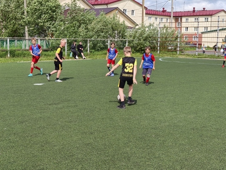  В Холмогорах состоялся турнир по мини-футболу