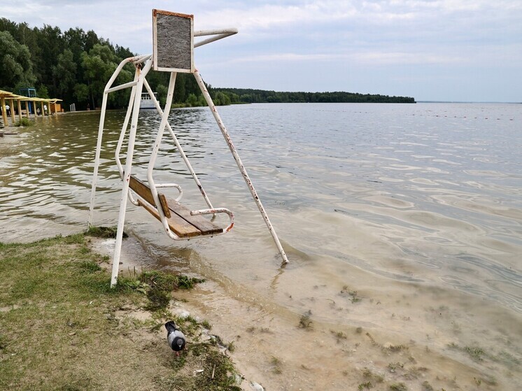 На Шершнях спасли жизнь уставшему пловцу