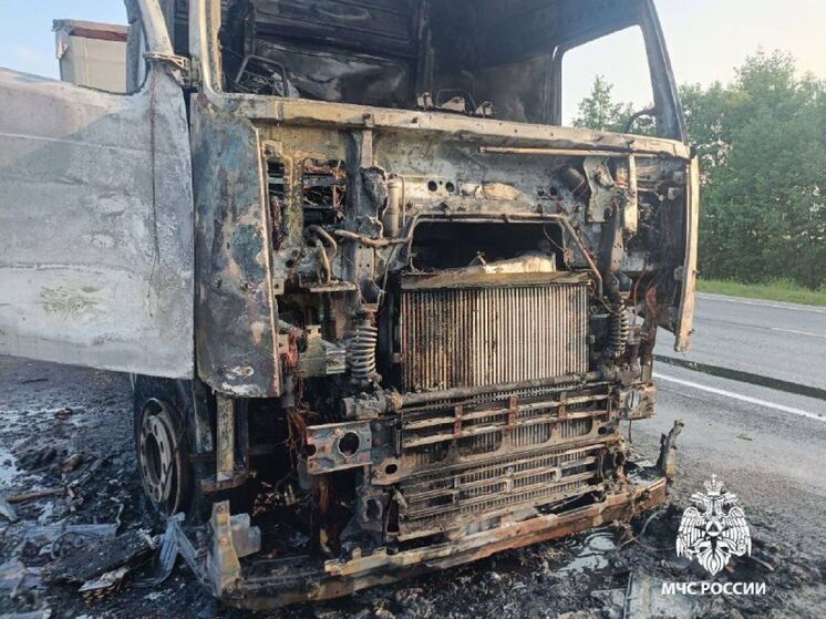 Фура сгорела на трассе в Ряжском округе Рязанской области
