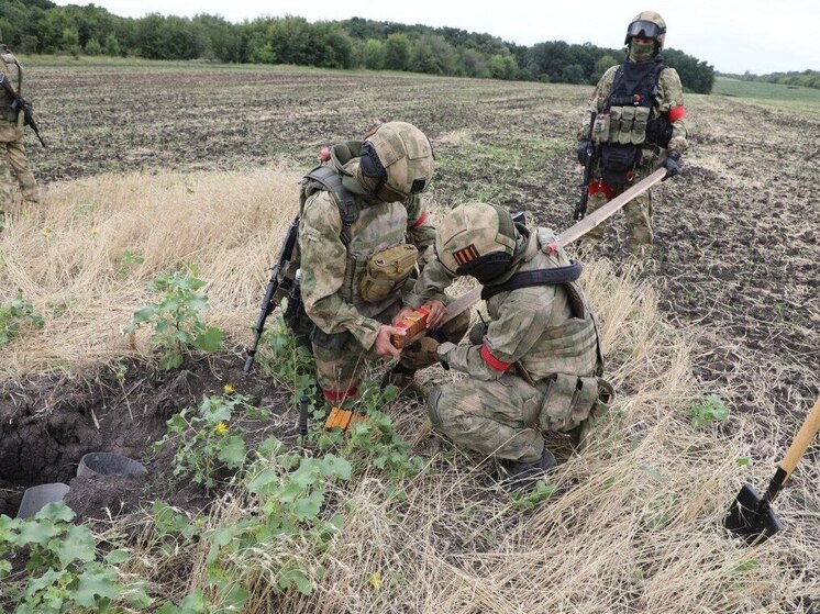 Росгвардия направляет дополнительное подразделение для разминирования курского приграничья