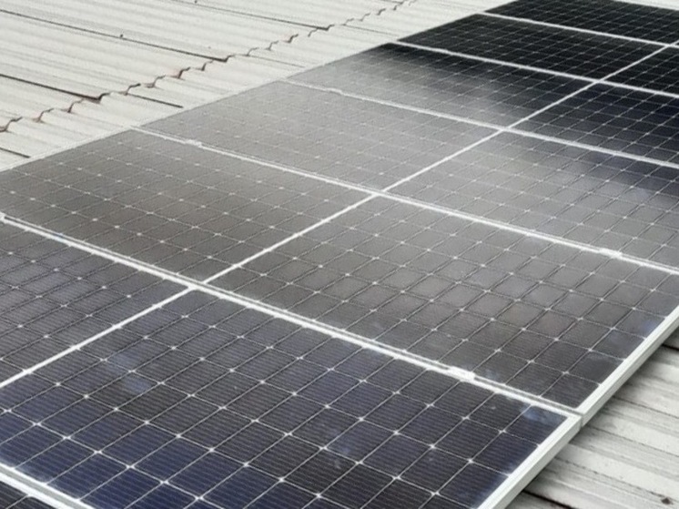 В сочинских школах уделяют внимание экологии