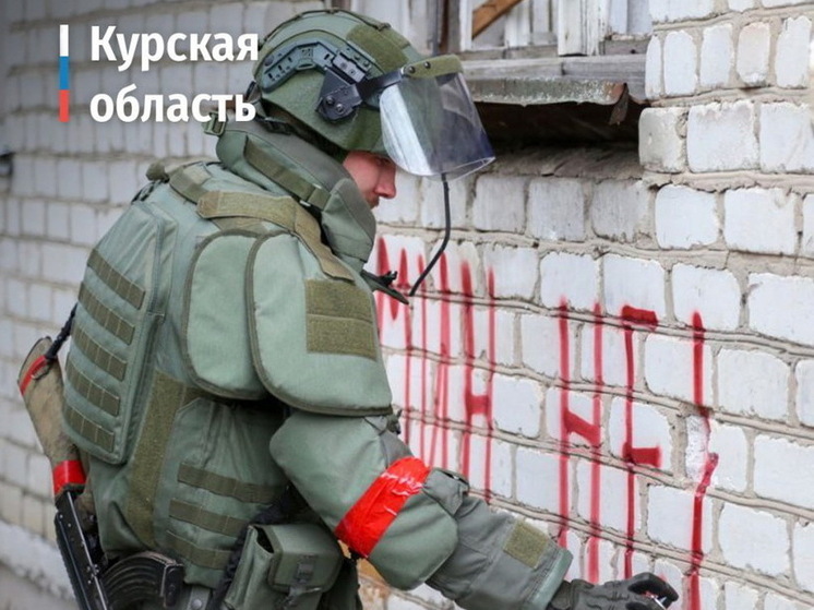 В Курской области уничтожили более 455 тысяч мин и взрывоопасных предметов