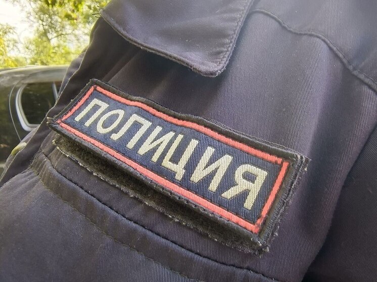 Угрожал соседям и избил мать: полицейские задержали дебошира-хулигана в Хабаровске