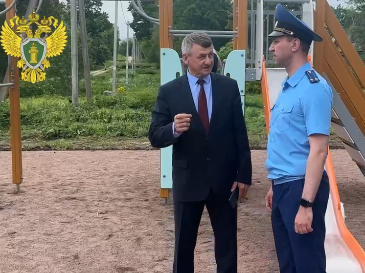Чтобы в Теплицах построили детскую площадку, местный житель дошел до прокурора