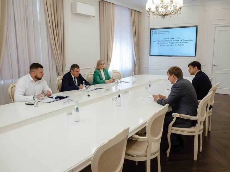 Временно исполняющий обязанности курского губернатора Александр Хинштейн провёл в областном центре встречу с руководителем Федерального агентства по делам молодёжи Григорием Гуровым