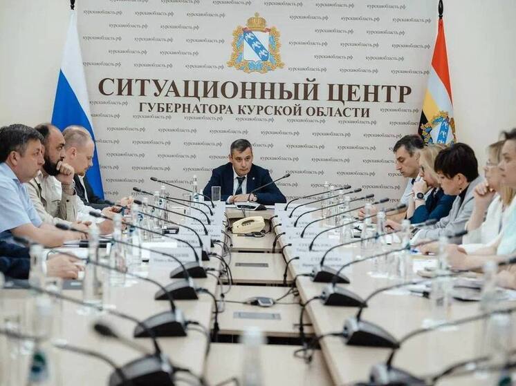 Временно исполняющий обязанности курского губернатора Александр Хинштейн и его коллеги из областного правительства поучаствовали в очередном совещании, которое провёл министр экономического развития РФ Максим Решетников