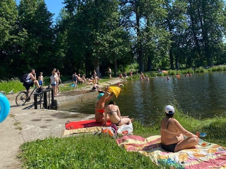 Лето — это отличное время, чтобы пополнить запас витамина D в своем организме. Роспотребнадзор по Петербургу и Ленобласти рассказал, чем полезен этот витамин и что будет, если в организме он в дефиците.