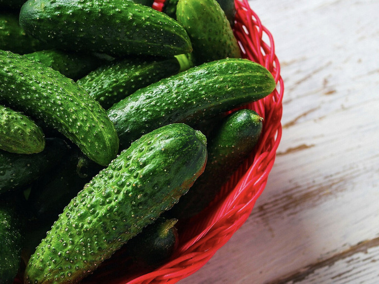 Секрет раскрыт. Огородникам рассказали, как правильно поливать огурцы для плодородия