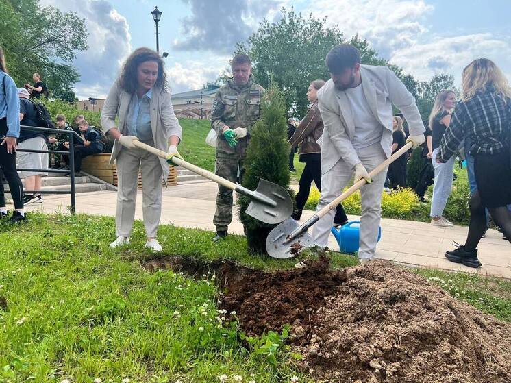 В течение Дня экологи в Тихвине посадили 100 туй
