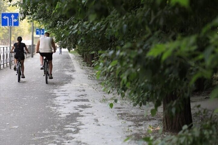 МКУ «ЛесПаркХоз»
