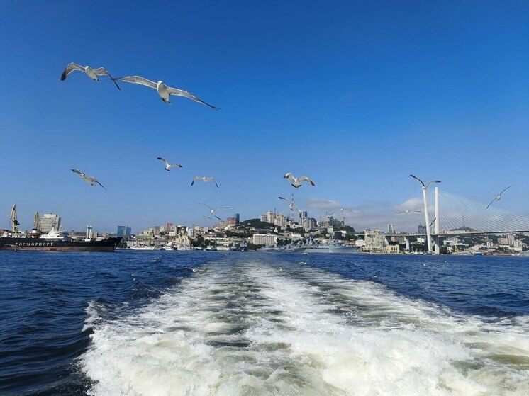 Профилактические рейды среди маломерных судов проводят в Приморском крае