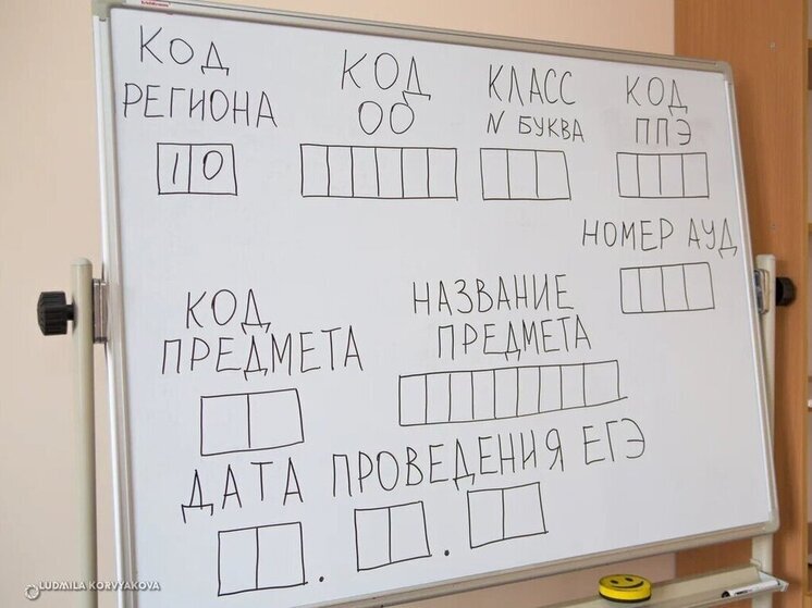Опубликованы результаты Единого госэкзамена по математике