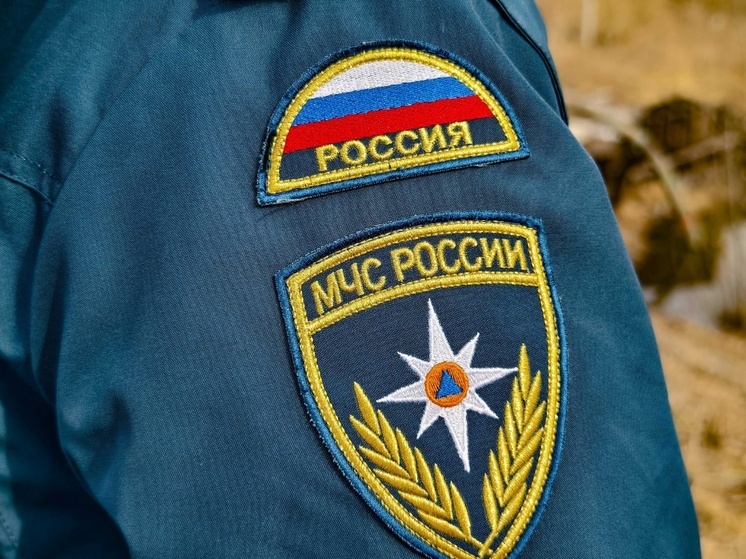 Томские спасатели вывели из огня 6 человек за сутки