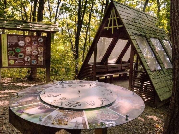 Выходные на леопардовой тропе приглашают провести жителей Приморского края