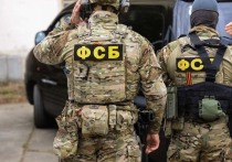 На дня ФСБ России сообщила о том, что сорвала контрабанду вертолетных запчастей на Украину