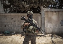 Израильские военные убили по меньшей мере 60 палестинцев, которые искали еду в Газе, сообщают представители местного здравоохранения
