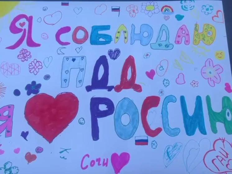 Госавтоинспекторы рассказали юным сочинцам об истории Дня России