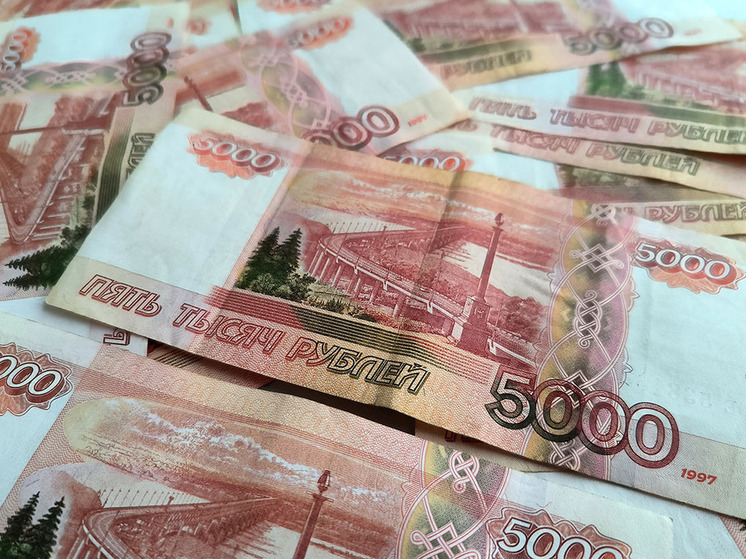 Доходы российских домохозяйств в расчете на каждого члена семьи за два года выросли на 27%