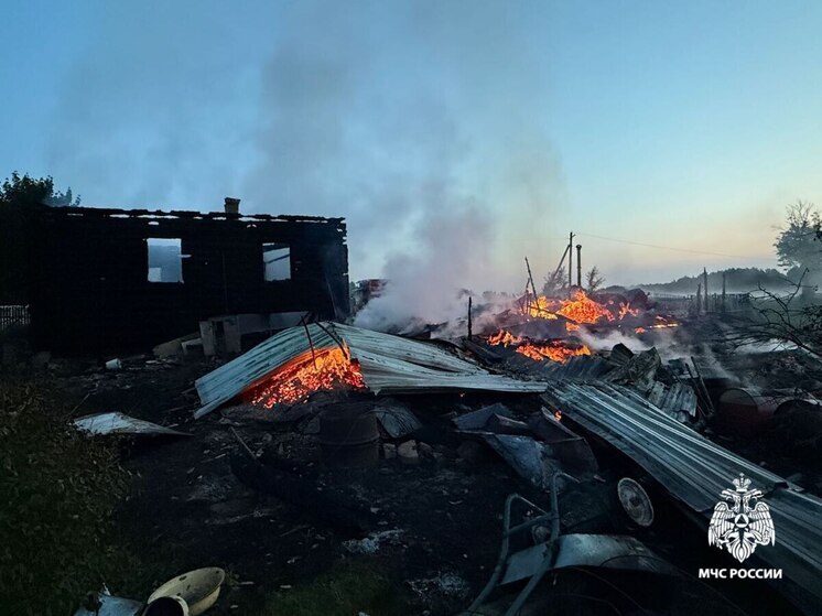 Костромские трагедии: в деревне Лебеди при пожаре погибла женщина