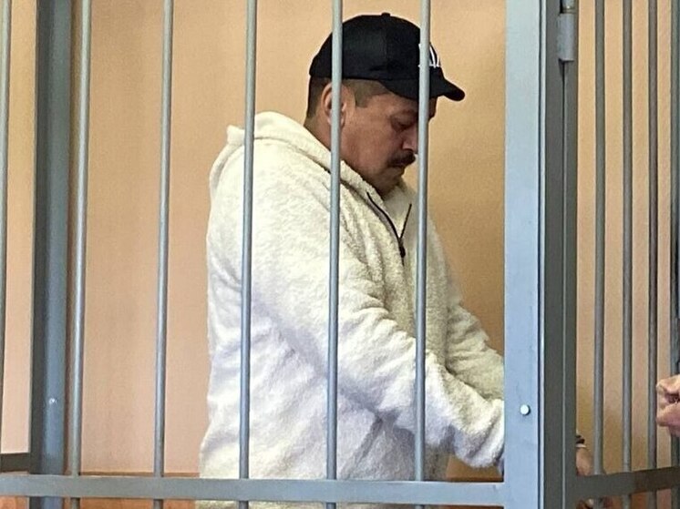 Мигранта, затащившего девочку-подростка в авто на Ударников, заключили под стражу