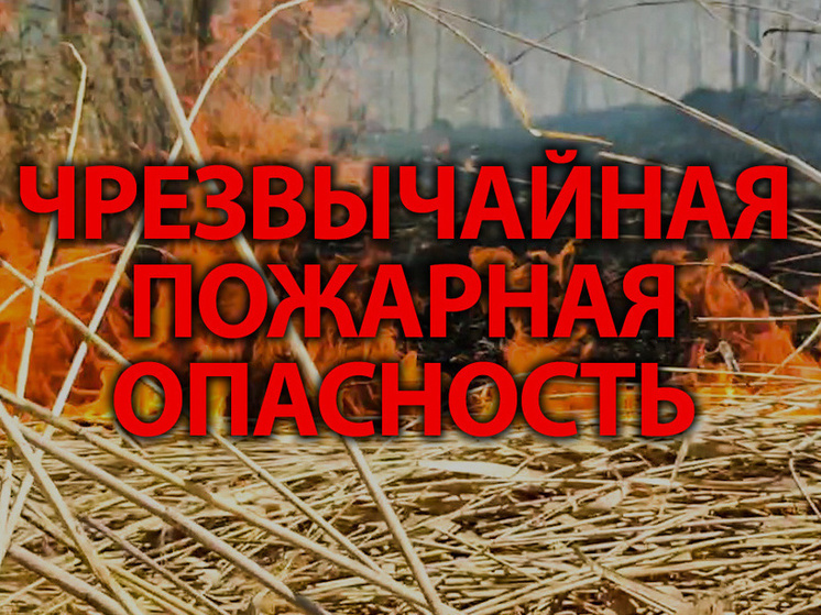МЧС: 12 и 13 июня в Пермском крае - чрезвычайная пожарная опасность