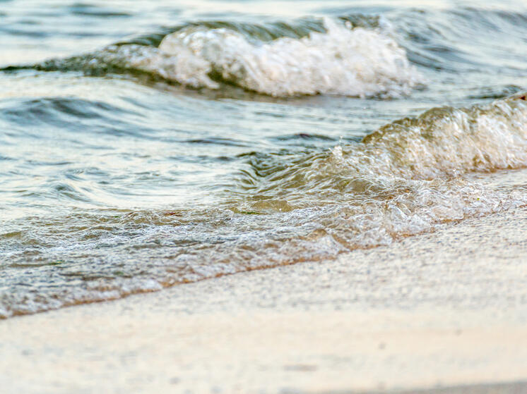 Роспотребнадзор проверил пляж на Семейкином острове в Томске