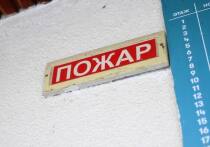 Пожар в двухкомнатной квартире на проспекте Шаумяна, 87, в Красногвардейском районе унес жизнь женщины. Об этом сообщили в пресс-службе МЧС по Петербургу.