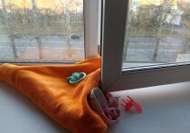 В связи с наступлением теплой погоды сотрудники МВД напоминают родителям об опасности, которую представляют открытые окна для детей. Падение из окна – одна из основных причин детского травматизма, нередко приводящая к летальному исходу.