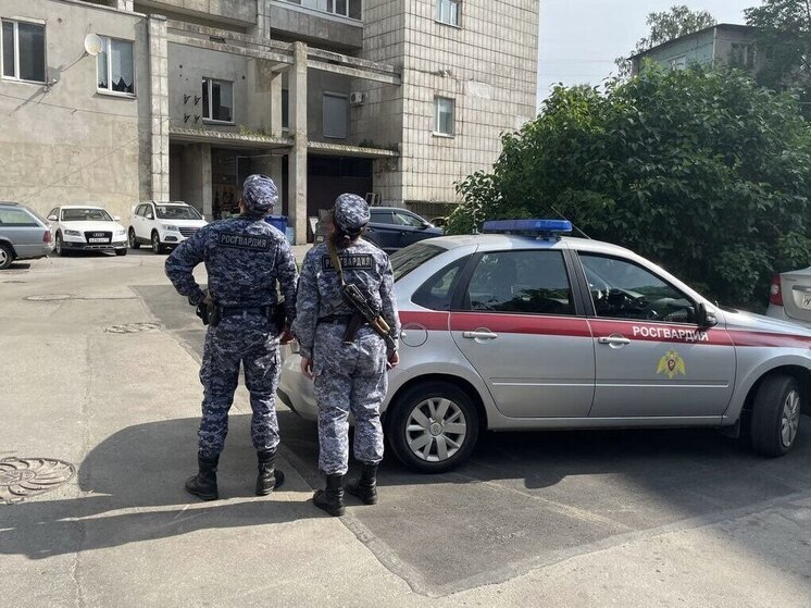 Росгвардейцы предотвратили падение девушки с крыши 17-этажки в Петербурге