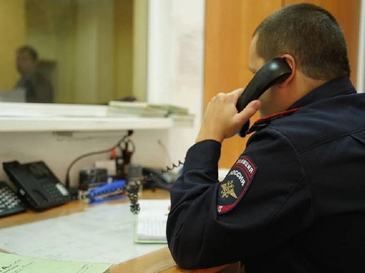 В полиции Тульской области напомнили номера дежурных частей