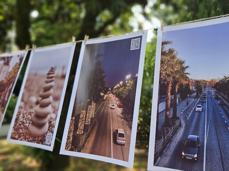 В Сочи в День России провели фото-сушку и выставку пейзажей