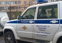 Суд Калининского района Петербурга заключил под стражу гражданку иностранного государства, которая применила насилие к полицейскому и прищемила ему пальцы дверью служебного авто. Об этом сообщили в пресс-службе ГСУ СКР по Петербургу и Ленобласти.