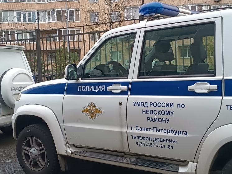 Сломавшую полицейскому пальцы иностранку арестовали в Петербурге