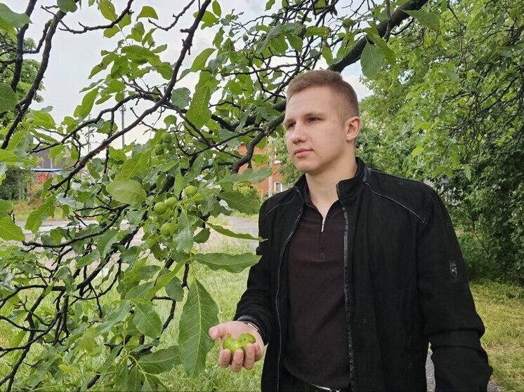 Школьник из Предгорья планирует открыть ореховую лавку и поддержать участников СВО