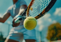 Российский теннисист Даниил Медведев успешно стартовал на турнире ATP в Хертогенбосе (Нидерланды), обыграв француза Адриана Маннарино в матче второго круга