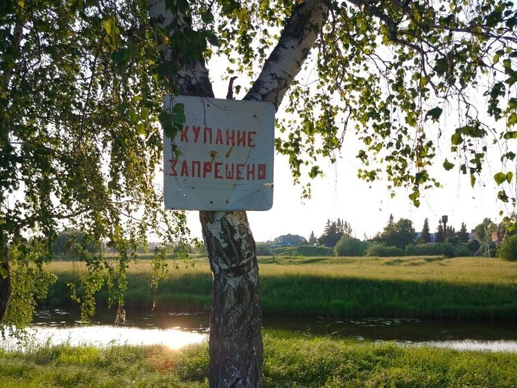 В Омской области утонул подросток при попытке переплыть реку