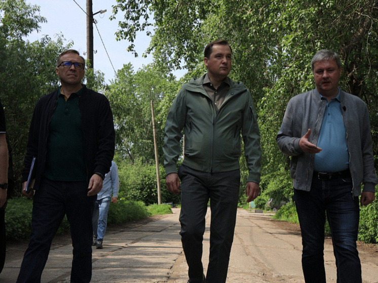 Александр Цыбульский и Дмитрий Морев обсудили перспективные направления в развитии Кегострова