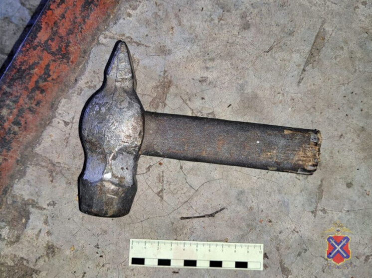 Волгоградцу грозит 10 лет тюрьмы за удар собутыльника молотком