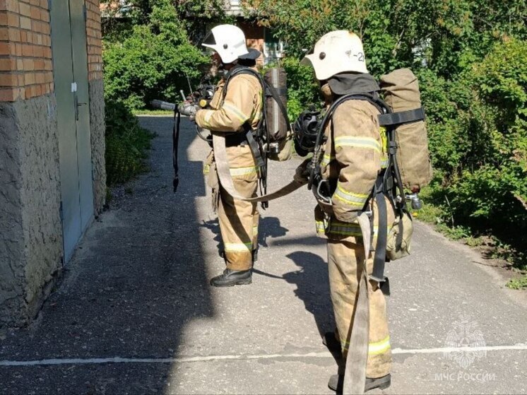 Курские спасатели обезвредили 12 взрывоопасных предметов