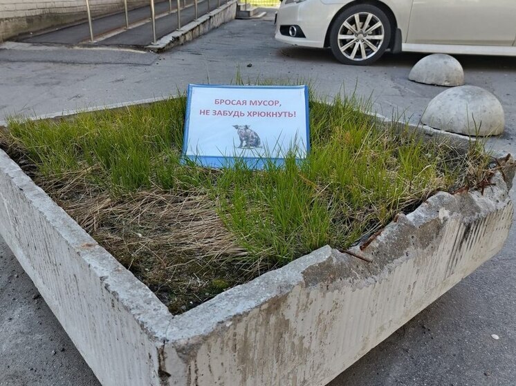 Новгородское Минприроды ищет водителя, выбросившего мусор в окно автомобиля