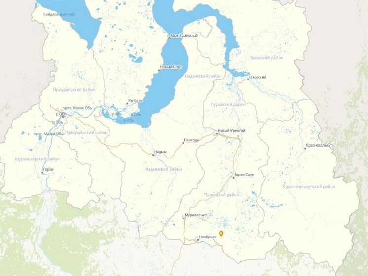 На Ямале потушили очередной природный пожар