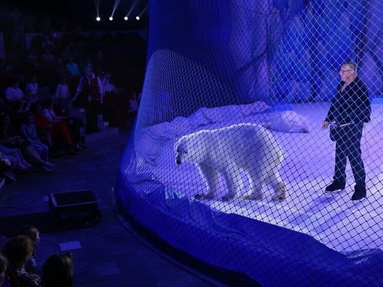 В Кисловодске в День России устроили благотворительное цирковое представление для детей бойцов СВО