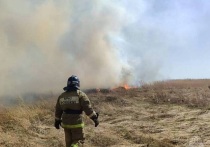 Высокая пожароопасность сохраняется в Алтайском крае