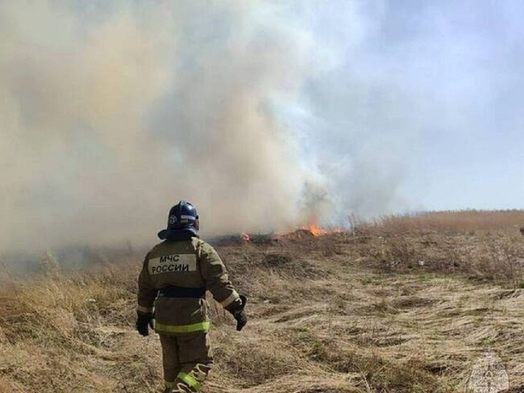 На юго-западе Алтайского края сохраняется высокая пожароопасность
