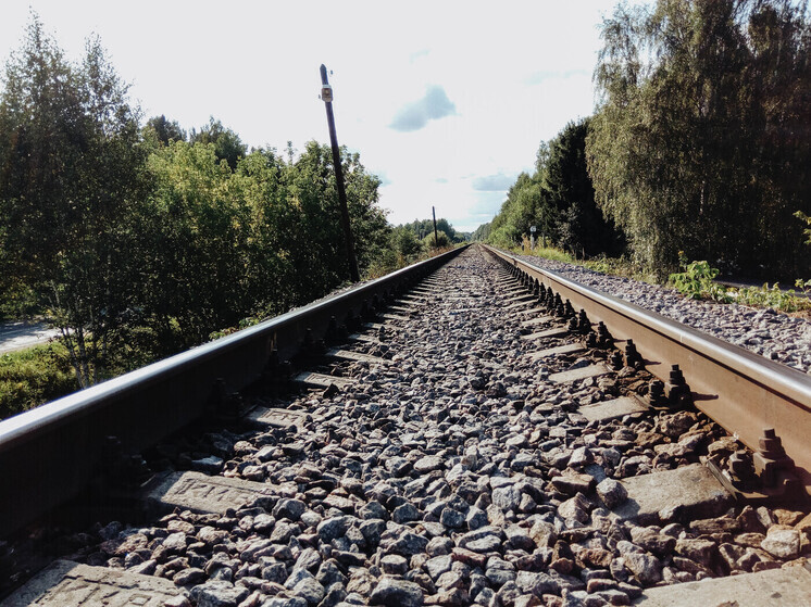 В Петербурге девочка сбежала из дома из-за отца: подростка нашли в Тверской области